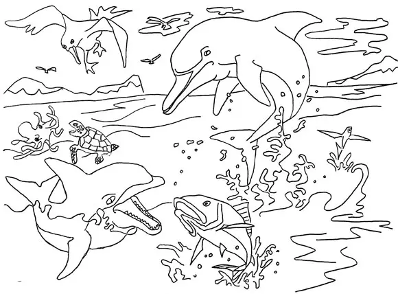 Dolphin Coloring Pages 11