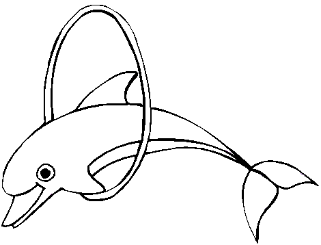 Dolphin Coloring Pages 12